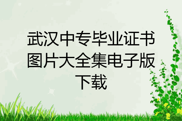 武汉中专毕业证书图片大全集电子版下载