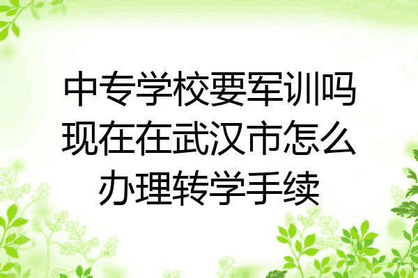中专学校要军训吗现在在武汉市怎么办理转学手续