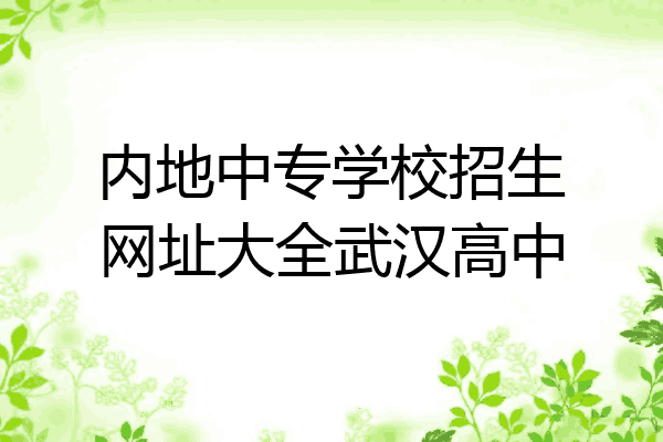 内地中专学校招生网址大全武汉高中