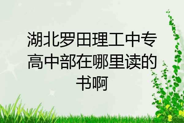 湖北罗田理工中专高中部在哪里读的书啊
