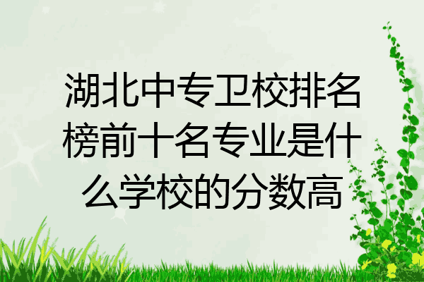 湖北中专卫校排名榜前十名专业是什么学校的分数高