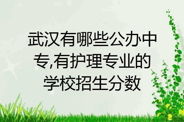 武汉有哪些公办中专,有护理专业的学校招生分数
