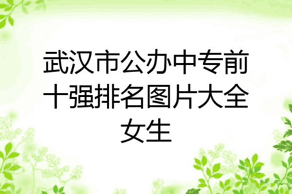 武汉市公办中专前十强排名图片大全女生