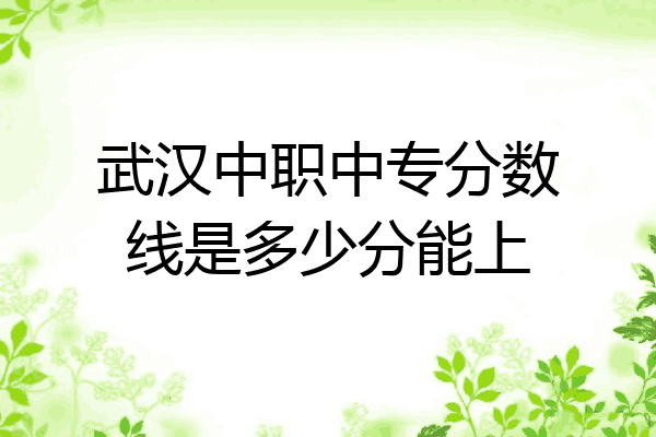 武汉中职中专分数线是多少分能上