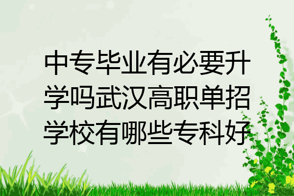 中专毕业有必要升学吗武汉高职单招学校有哪些专科好
