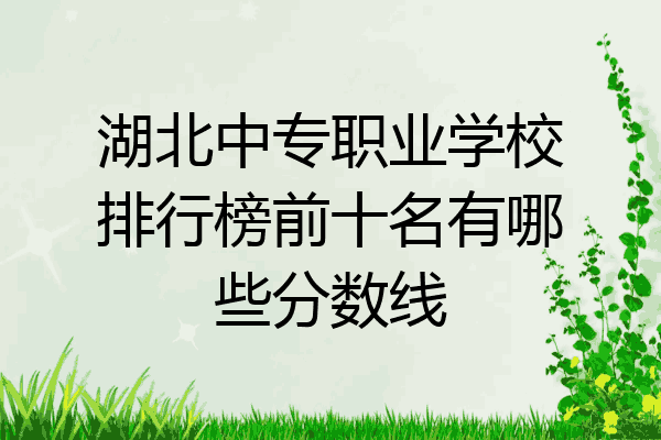 湖北中专职业学校排行榜前十名有哪些分数线