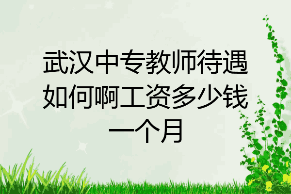 武汉中专教师待遇如何啊工资多少钱一个月
