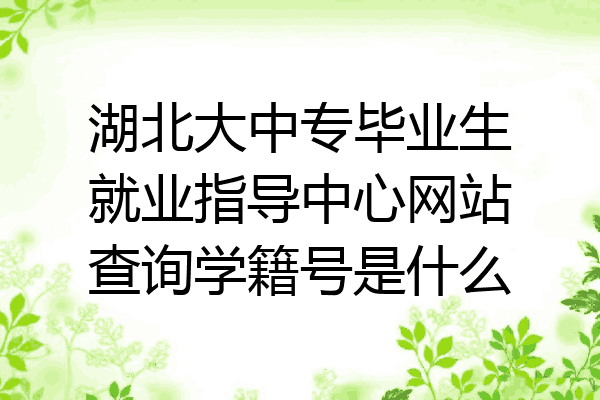 湖北大中专毕业生就业指导中心网站查询学籍号是什么