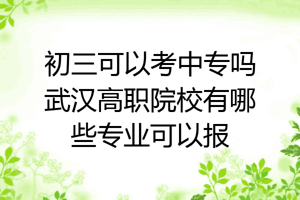 初三可以考中专吗武汉高职院校有哪些专业可以报