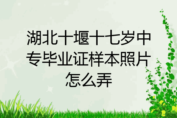 湖北十堰十七岁中专毕业证样本照片怎么弄