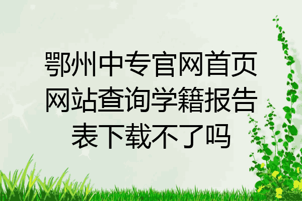 鄂州中专官网首页网站查询学籍报告表下载不了吗