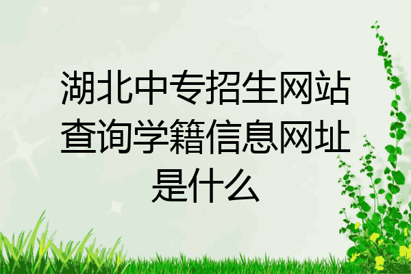 湖北中专招生网站查询学籍信息网址是什么