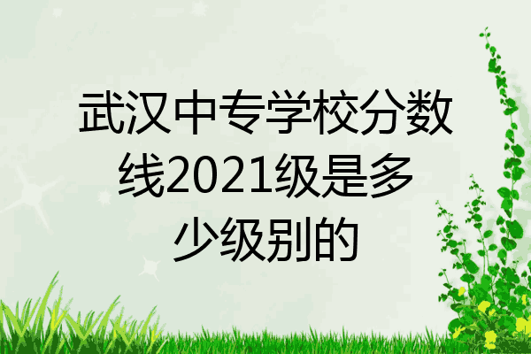 武汉中专学校分数线2021级是多少级别的