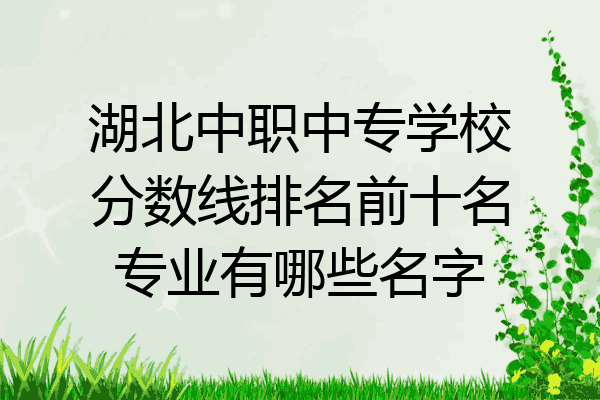 湖北中职中专学校分数线排名前十名专业有哪些名字