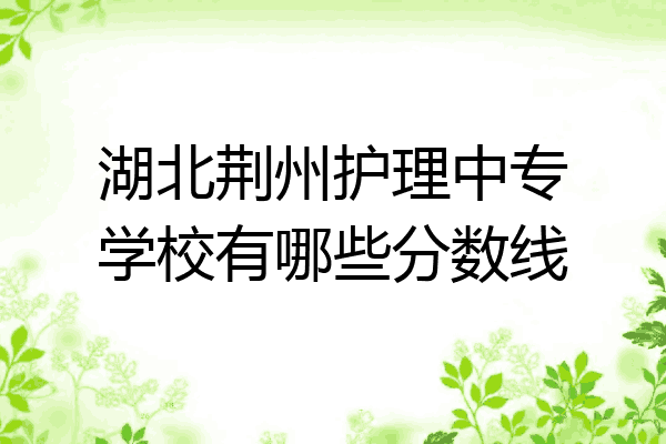 湖北荆州护理中专学校有哪些分数线