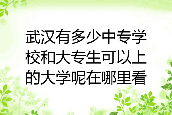 武汉有多少中专学校和大专生可以上的大学呢在哪里看