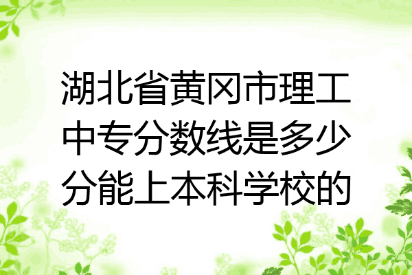 湖北省黄冈市理工中专分数线是多少分能上本科学校的