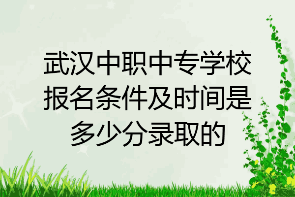 武汉中职中专学校报名条件及时间是多少分录取的