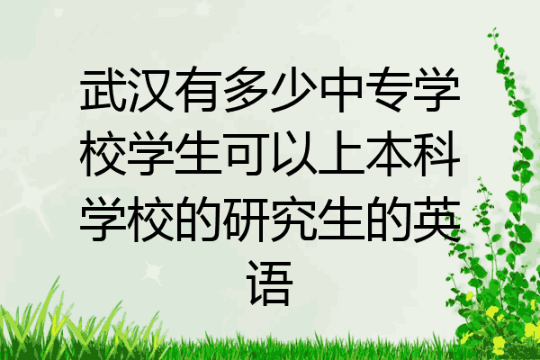 武汉有多少中专学校学生可以上本科学校的研究生的英语
