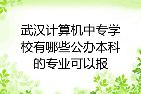 武汉计算机中专学校有哪些公办本科的专业可以报