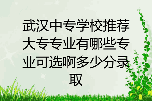 武汉中专学校推荐大专专业有哪些专业可选啊多少分录取