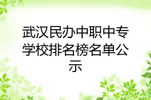 武汉民办中职中专学校排名榜名单公示