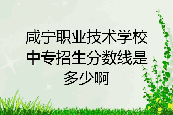 咸宁职业技术学校中专招生分数线是多少啊