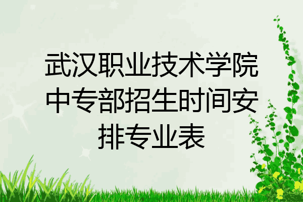 武汉职业技术学院中专部招生时间安排专业表