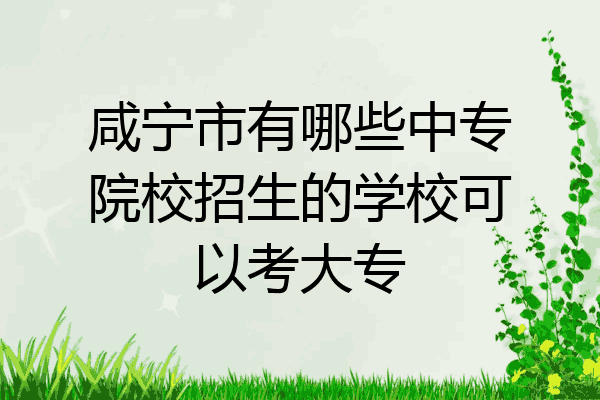 咸宁市有哪些中专院校招生的学校可以考大专