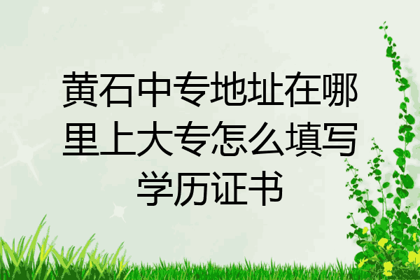黄石中专地址在哪里上大专怎么填写学历证书