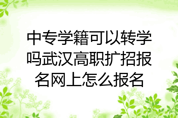 中专学籍可以转学吗武汉高职扩招报名网上怎么报名