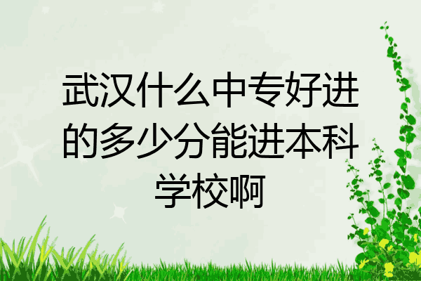 武汉什么中专好进的多少分能进本科学校啊