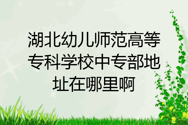 湖北幼儿师范高等专科学校中专部地址在哪里啊