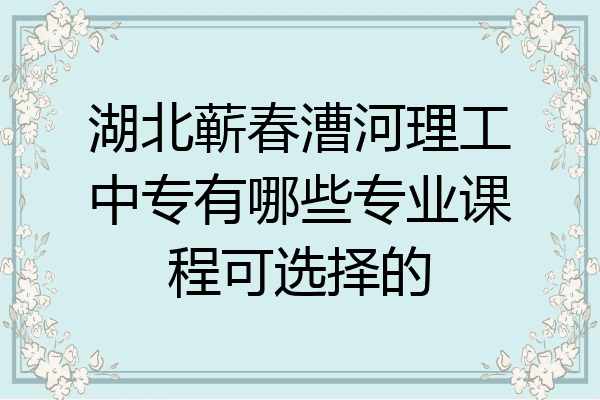 湖北蕲春漕河理工中专有哪些专业课程可选择的