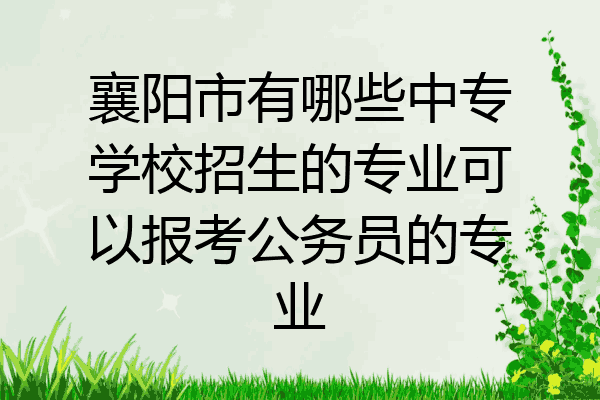 襄阳市有哪些中专学校招生的专业可以报考公务员的专业