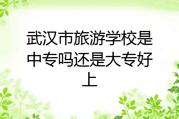 武汉市旅游学校是中专吗还是大专好上