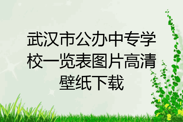武汉市公办中专学校一览表图片高清壁纸下载