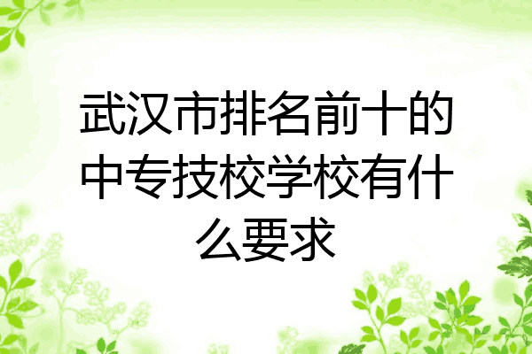 武汉市排名前十的中专技校学校有什么要求