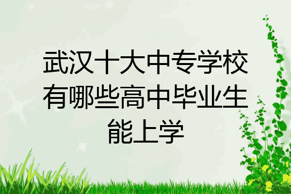 武汉十大中专学校有哪些高中毕业生能上学