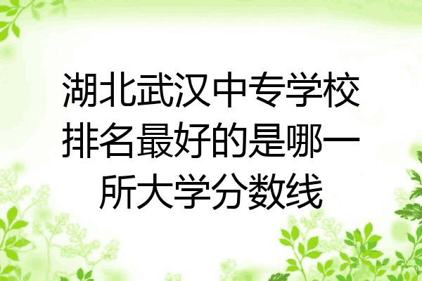 湖北武汉中专学校排名最好的是哪一所大学分数线