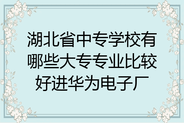 湖北省中专学校有哪些大专专业比较好进华为电子厂