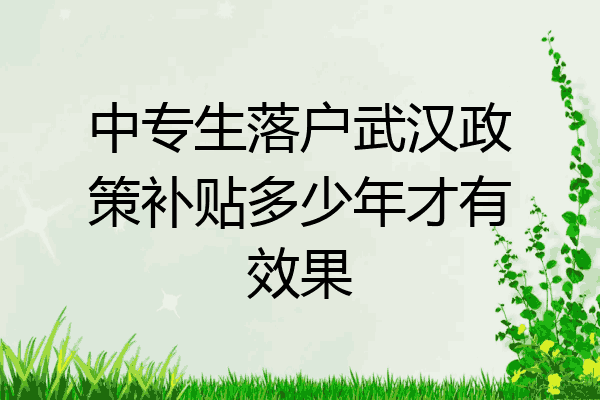 中专生落户武汉政策补贴多少年才有效果