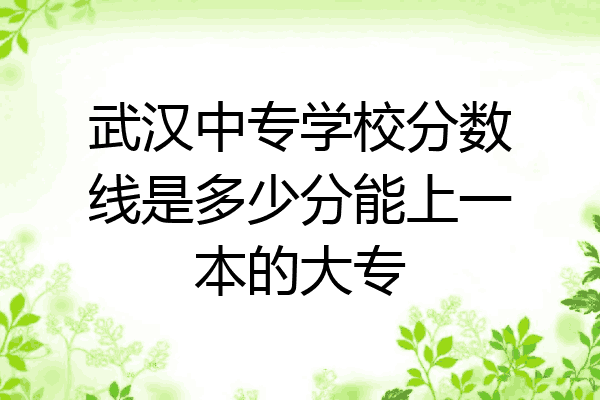 武汉中专学校分数线是多少分能上一本的大专