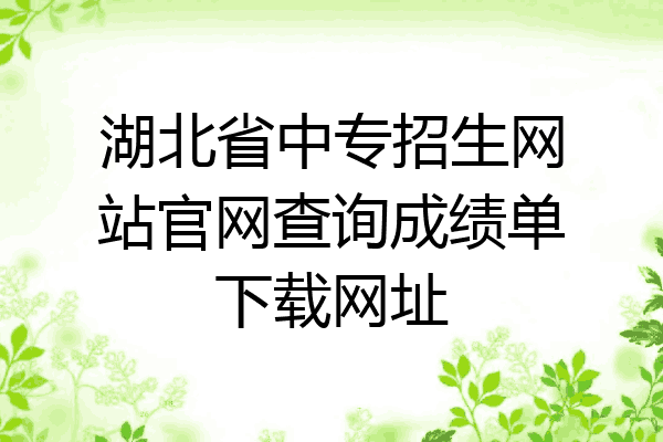 湖北省中专招生网站官网查询成绩单下载网址