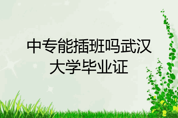 中专能插班吗武汉大学毕业证