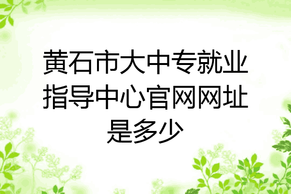 黄石市大中专就业指导中心官网网址是多少
