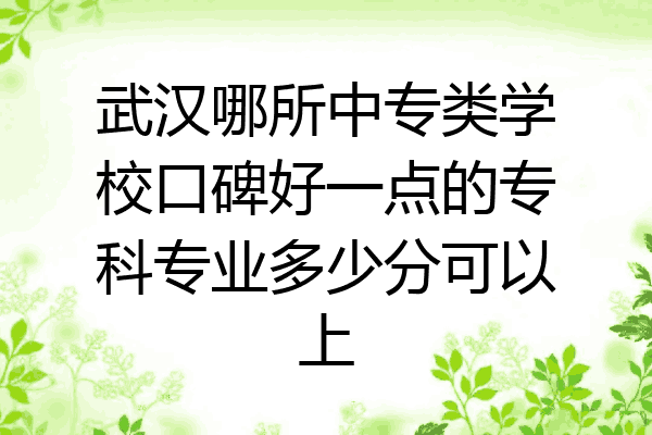 武汉哪所中专类学校口碑好一点的专科专业多少分可以上