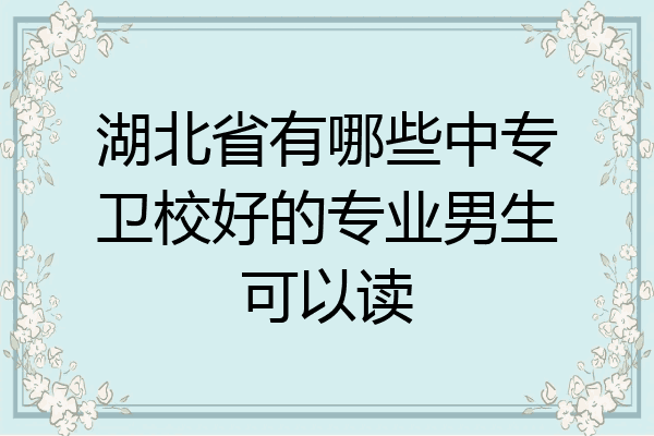 湖北省有哪些中专卫校好的专业男生可以读