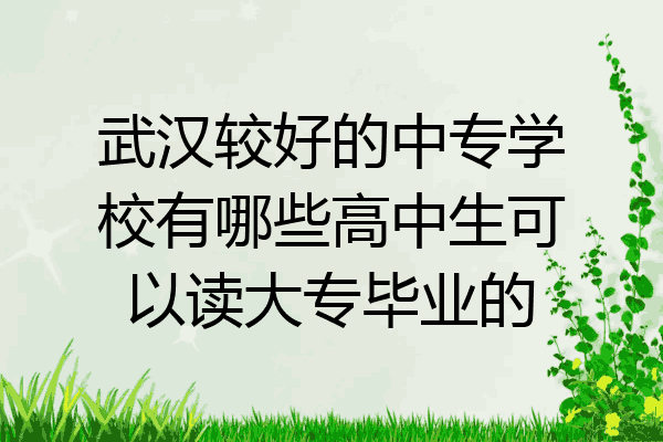 武汉较好的中专学校有哪些高中生可以读大专毕业的