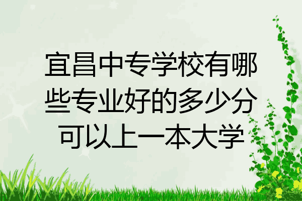 宜昌中专学校有哪些专业好的多少分可以上一本大学
